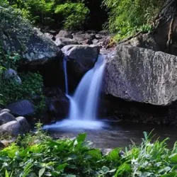 Barrouallie Cultural Festival - Barrouallie