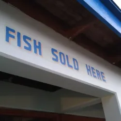 Barrouallie Fish Market - Barrouallie