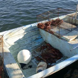 Barrouallie Fish Market - Barrouallie