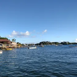 Barrouallie Fish Market - Barrouallie