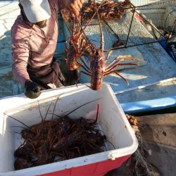 Barrouallie Fish Market - Barrouallie