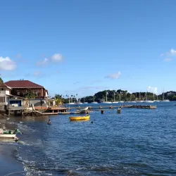 Barrouallie Fish Market - Barrouallie