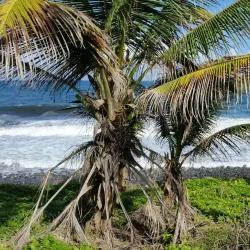 Black Point Heritage Site - Barrouallie