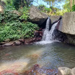 Fishing Village Walks - Barrouallie