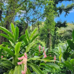 Fishing Village Walks - Barrouallie