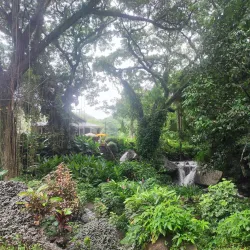 Fishing Village Walks - Barrouallie