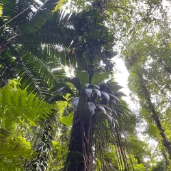 Nearby Hiking Trails - Barrouallie