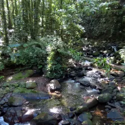 Nearby Hiking Trails - Barrouallie