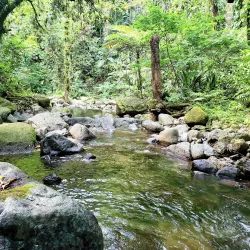 Nearby Hiking Trails - Barrouallie