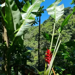 Nearby Hiking Trails - Barrouallie