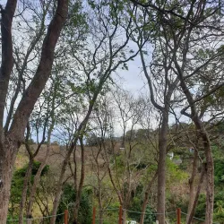 Mesopotamia Valley - Biabou