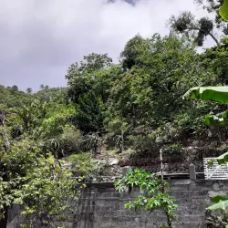 Mesopotamia Valley - Biabou