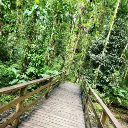 Vermont Nature Trail - Biabou