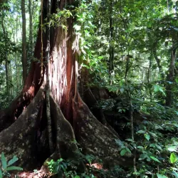 Vermont Nature Trail - Biabou