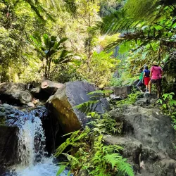 Dark View Falls - Calliaqua