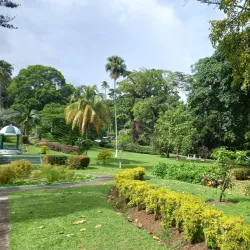 Botanical Gardens of Saint Vincent - Campden Park