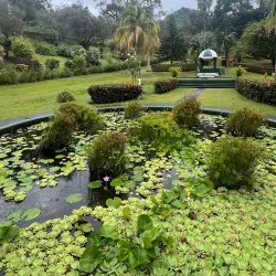 Botanical Gardens Visitor Centre - Campden Park