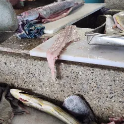 Kingstown Market - Campden Park