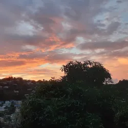 Kingstown Waterfront - Campden Park