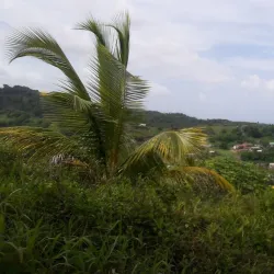 Mesopotamia Valley - Campden Park