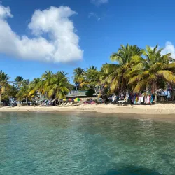 Bequia Island Day Trip - Georgetown