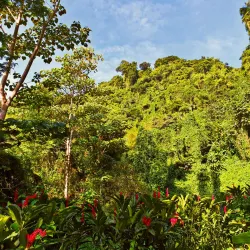Dark View Falls - Georgetown