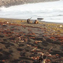 Georgetown Beach - Georgetown