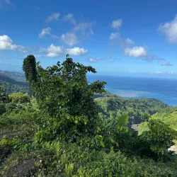 La Soufrière Volcano - Georgetown