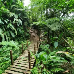 La Soufrière Volcano - Georgetown