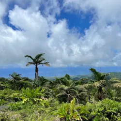 La Soufrière Volcano - Georgetown