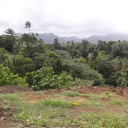 Mesopotamia Valley - Georgetown