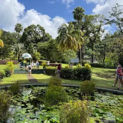 Botanical Gardens Waterfall - Kingstown