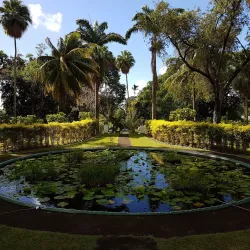Botanical Gardens Waterfall - Kingstown