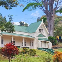 Botanical Gardens - Kingstown