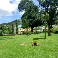 Botanical Gardens - Kingstown