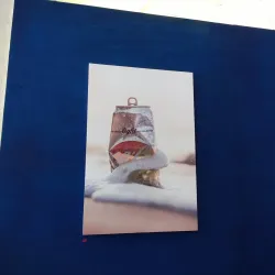 The National Museum of Saint Vincent and the Grenadines - Kingstown