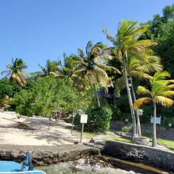 Young Island - Kingstown