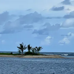 Palolo Deep Marine Reserve - Apia