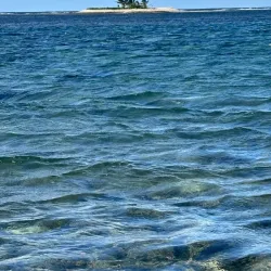 Palolo Deep Marine Reserve - Apia