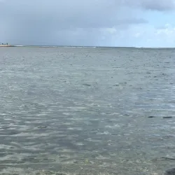 Palolo Deep Marine Reserve - Apia