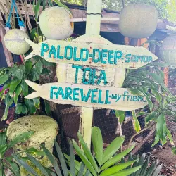 Palolo Deep Marine Reserve - Apia