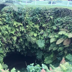 To Sua Ocean Trench - Apia