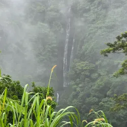 Vaitele Waterfall - Apia