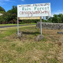 Falealupo Rainforest Preserve - Falelima