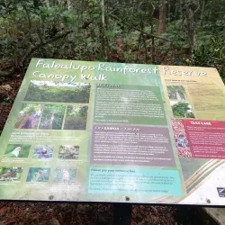 Falealupo Rainforest Preserve - Falelima