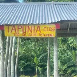 Falealupo Rainforest Preserve - Falelima