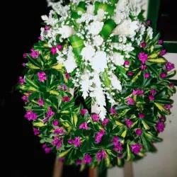 Lalomalava Bay - Falelima