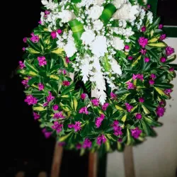 Lalomalava Bay - Falelima