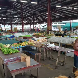Local Markets in Falelima - Falelima