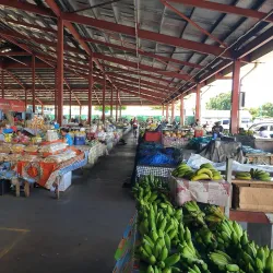 Local Markets in Falelima - Falelima